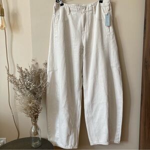 NWT Anthropologie Pilcro Mid Rise Barrel Leg Denim in 28 Petite